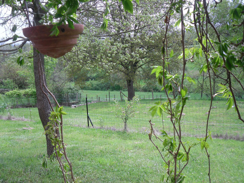 terrasse-3-gite-boulogne-sur-gesse.jpg